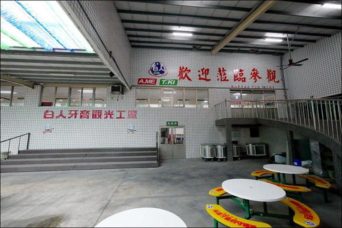特立獨(dú)行的工業(yè)旅游體驗(yàn) 探訪臺灣白人牙膏觀光工廠